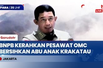 Penerbangan Masih Terganggu, BNPB Bakal Semai Hujan Buatan Melalui Kertajati dan Semarang