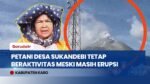 Pasca-Semburan Abu Sinabung, Petani Karo Tetap Bertani Sambil Tetap Waspada