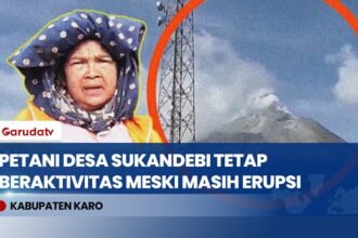 Pasca-Semburan Abu Sinabung, Petani Karo Tetap Bertani Sambil Tetap Waspada