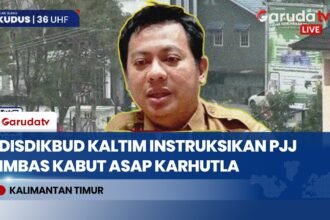 Kualitas Udara Berbahaya Akibat Karhutla, Siswa di Kaltim Diliburkan dan Belajar Daring