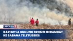 Gunung Bromo Terbakar Lagi di 10 Titik, BPBD Kerahkan Heli Water Bombing dan Pintu Wisata Ditutup