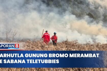 Gunung Bromo Terbakar Lagi di 10 Titik, BPBD Kerahkan Heli Water Bombing dan Pintu Wisata Ditutup
