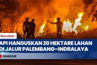 Kebakaran Lahan 20 Hektar di Jalan Lintas Palembang–Indralaya, Asap Tebal Ganggu Jarak Pandang