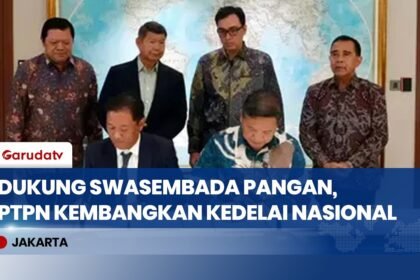 Dukung Swasembada Pangan, PTPN Group & PT KUAB Resmi Kerja Sama Kembangkan Kedelai Nasional
