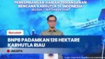 BNPB Tangani Karhutla Riau: 126 Hektare Lahan Dipadamkan & Satgas Udara Kerahkan Water Bombing