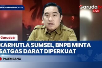 Efektif Padamkan Ratusan Hektare Lahan, BNPB Minta Satgas Darat Karhutla Sumsel Diperkuat