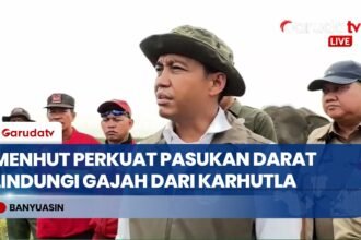 Cegah Karhutla Ancam Gajah Padang Sugihan, Menhut Raja Antoni Pertebal Pasukan Darat