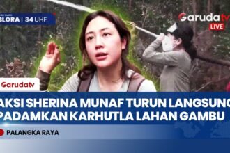 Sherina Munaf Rasakan Langsung Tantangan Padamkan Karhutla di Lahan Gambut