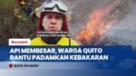 Lalap 300 Hektare Lahan di Ekuador, Kebakaran Bukit Casitagua Dipadamkan Warga Pakai Alat Seadanya