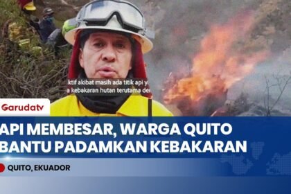 Lalap 300 Hektare Lahan di Ekuador, Kebakaran Bukit Casitagua Dipadamkan Warga Pakai Alat Seadanya