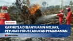 Karhutla di Banyuasin Meluas, Lahan Gambut Kering dan Anggin Kencang Sulitkan Pemadaman