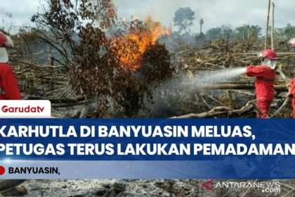 Karhutla di Banyuasin Meluas, Lahan Gambut Kering dan Anggin Kencang Sulitkan Pemadaman