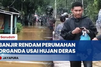 Hujan Deras Guyur Jayapura, Banjir Rendam Perumahan Organda di Distrik Heram