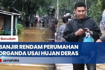 Hujan Deras Guyur Jayapura, Banjir Rendam Perumahan Organda di Distrik Heram