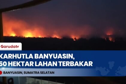 Karhutla Melanda Banyuasin, 50 Hektar Lahan Gambut Habis Dilalap Si Jago Merah!