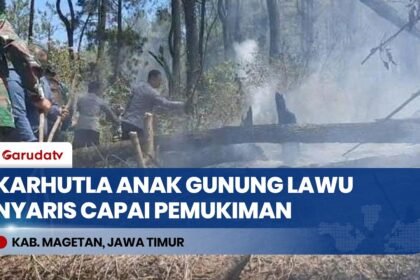 Diduga Sengaja Dibakar, 6 Hektar Hutan Jati Lereng Anak Gunung Lawu Magetan Hangus