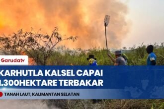 Karhutla di Tanah Tala Capai 1.300 Hektare, Satgas Darat Kesulitan Jangkau Titik Api