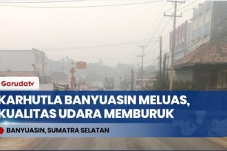 Kabut Asap Karhutla Makin Pekat di Banyuasin, Jarak Pandang & Kualitas Udara Memburuk!