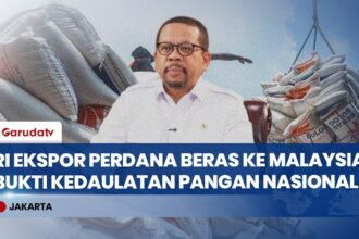 Tandatangani MoU dengan Malaysia, Indonesia Mulai Ekspor 1.000 Ton Beras Premium ke Negeri Jiran