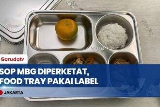 Evaluasi & Pengetatan SOP MBG: Food Tray Kini Wajib Pakai Label dan Batas Waktu Konsumsi
