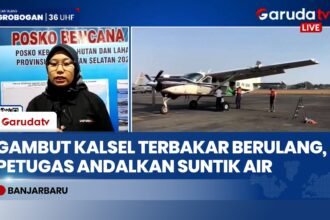 Lawan Bara Api Tersembunyi di Gambut Kalsel, Tim Gabungan Menerobos Perut Bumi Pakai 'Suntik Air'