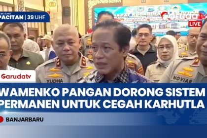 Cegah Karhutla Berulang, Wamenko Pangan Dorong Pembangunan Sistem Permanen di Kalsel