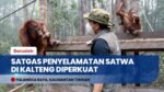 Lahan Gambut di Sepanjang Tol Cisumdawu Terbakar, Asap Pekat Ganggu Jarak Pandang Pengendara
