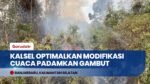 Karhutla Threatens Wildlife: Kemenhut Perkuat Satgas Penyelamatan Satwa Liar di Kalteng