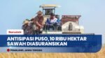 Antisipasi Risiko Puso, Pemprov Jateng Bentengi 10 Ribu Hektar Sawah dengan Asuransi Jamkrida