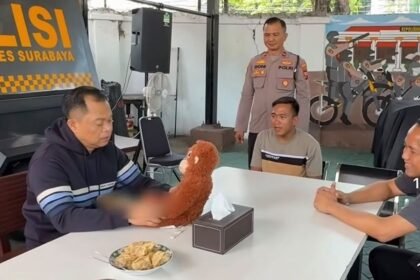 Pelecehan Modus Konten Boneka di Surabaya: Kreator Medsos Ngaku Korbannya Lebih dari 100 Wanita