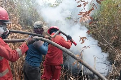 Komisi IV DPR RI membentuk Panja Karhutla untuk memperkuat pengawasan pencegahan dan penanganan kebakaran hutan serta lahan.