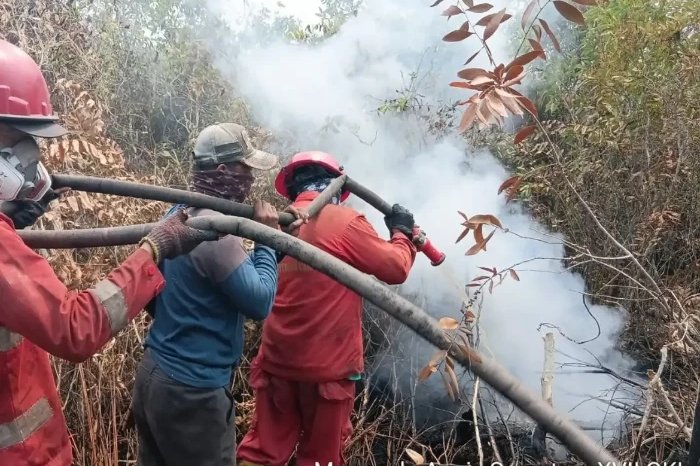 Komisi IV DPR RI membentuk Panja Karhutla untuk memperkuat pengawasan pencegahan dan penanganan kebakaran hutan serta lahan.