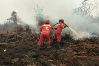 BNPB mengusulkan tambahan Dana Siap Pakai Rp5,67 triliun untuk memperkuat penanganan dan pemulihan bencana sepanjang 2026.