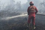 BNPB meminta pemerintah daerah meningkatkan kewaspadaan dan melakukan pembasahan di kawasan TPA untuk mencegah kebakaran.