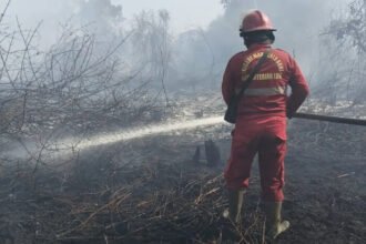 BNPB meminta pemerintah daerah meningkatkan kewaspadaan dan melakukan pembasahan di kawasan TPA untuk mencegah kebakaran.