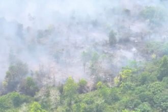 Pemerintah memperketat pengawasan dan penegakan hukum terhadap kasus kebakaran hutan dan lahan di tengah ancaman El-Niño.