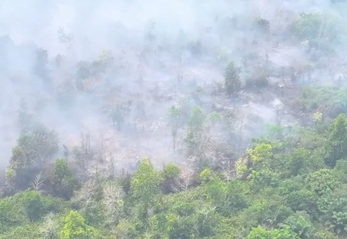 Pemerintah memperketat pengawasan dan penegakan hukum terhadap kasus kebakaran hutan dan lahan di tengah ancaman El-Niño.