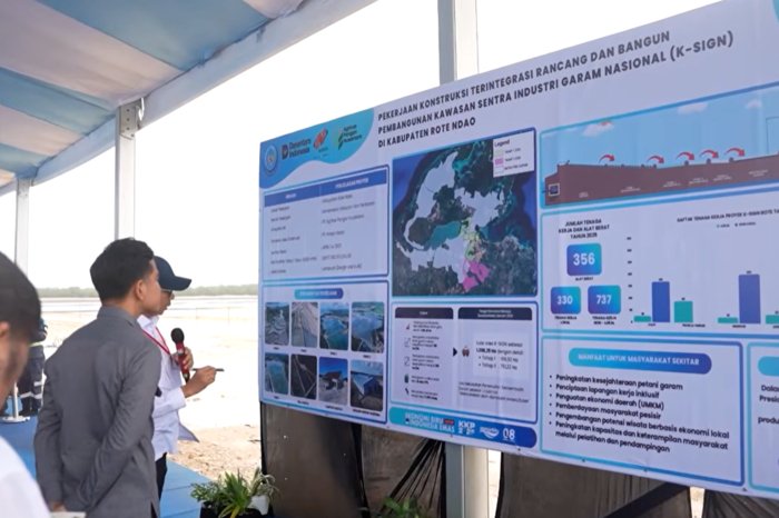Rote Ndao-NTT Diproyeksikan Jadi Raksasa Garam, Kawasan Capai 2.000 Hektare 2 Rote Ndao-NTT Diproyeksikan Jadi Raksasa Garam, Kawasan Capai 2.000 Hektare