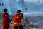 OIKN memperketat perlindungan Tahura Bukit Soeharto dari pembakaran lahan dan ancaman kebakaran hutan