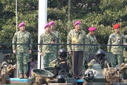 Korps Marinir TNI AL menerima 12 AAV M-35 buatan Amerika Serikat, dengan rencana penguatan bertahap hingga mencapai 105 unit pada 2028.