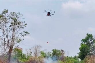 BNPB Alihkan Armada Udara Karhutla ke Jawa Timur, Kalimantan Tetap Dijaga