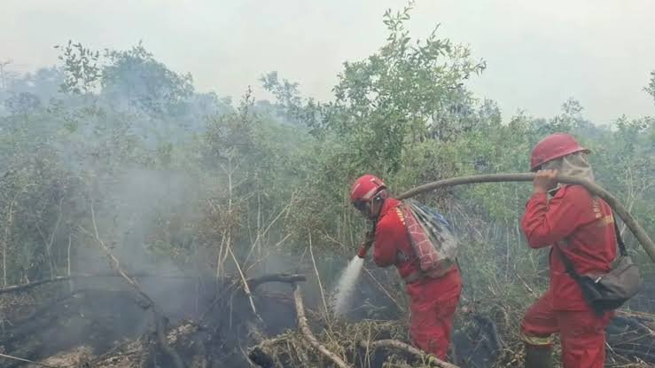 BNPB Kerahkan 59 Armada Udara untuk Tangani Karhutla, Titik Panas Papua Turun 94 Persen