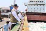 BULOG Percepat Pengiriman 10 Ribu Ton Jagung ke Jawa, Dirut Tinjau Langsung Pemuatan Kapal di Makassar
