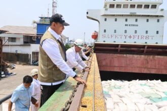 BULOG Percepat Pengiriman 10 Ribu Ton Jagung ke Jawa, Dirut Tinjau Langsung Pemuatan Kapal di Makassar