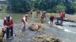 ciliwung