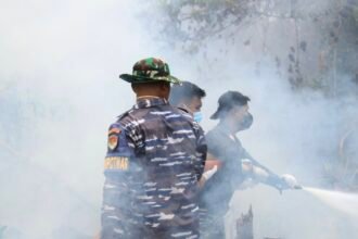 Karhutla Saleman Maluku Tengah Hari Kedelapan, Api Merambat ke Taman Nasional