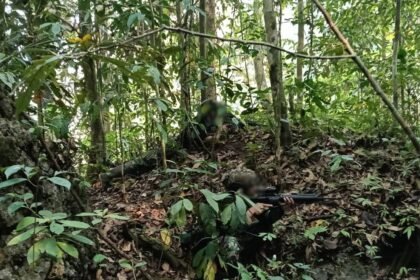 Kontak Tembak di Maybrat, Danops OPM Manfret Fatem Dilaporkan Tewas