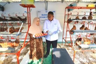 PNM Lansiapreneur Jadi Ruang Berkarya bagi Lansia