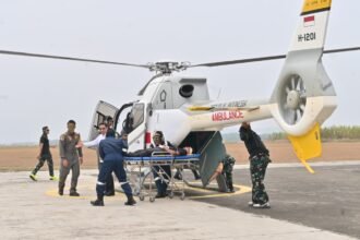 TNI Angkatan Udara (TNI AU)