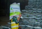 Masuki Musim Tanam, Pupuk Indonesia Siap Penuhi Kebutuhan Pupuk Bersubsidi di Madiun Raya